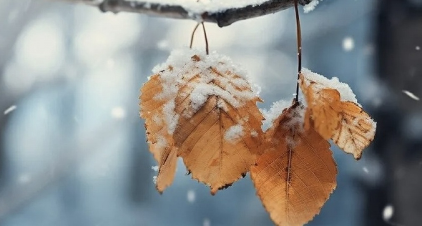 Самый теплый декабрь: синоптики рассказали о погоде в начале зимы