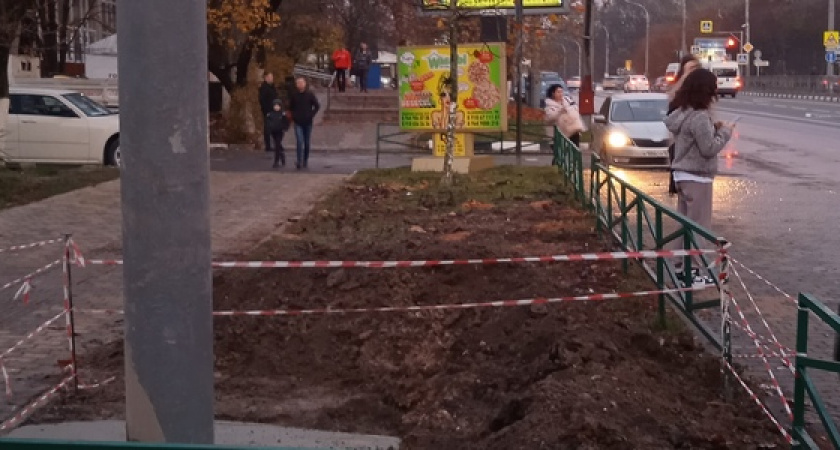 Вышки сотовой связи у троллейбусного депо в Новороссийске не будет: власти прокомментировали вырубку деревьев на Анапском шоссе