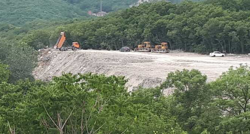 В ущелье, которое засыпают на пятой бригаде в Новороссийске, водятся эндемичные черепахи и течет ручей