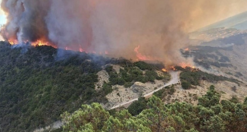 250 человек и 4 вертолета привлечено к тушению пожара под Новороссийском: жуткие кадры с места происшествия