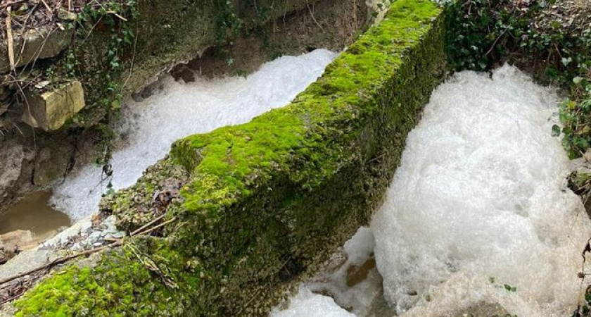 В Новороссийске в водоемах у Щелбы снова зафиксировали наличие грязной пены