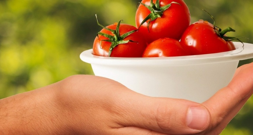 Забудьте про проблемы с томатами: достаточно посмотреть на листья