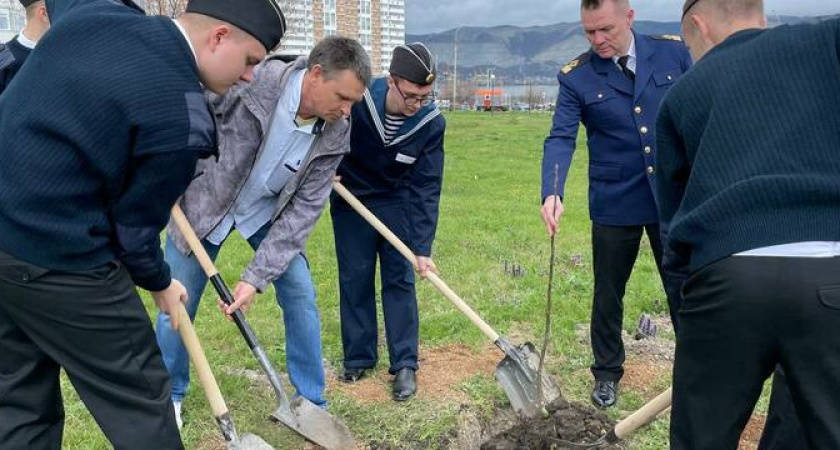 «Сад Памяти» продолжили первокурсники-ушаковцы и высадили более 20 саженцев ореха  рядом с братской могилой на территории вуза