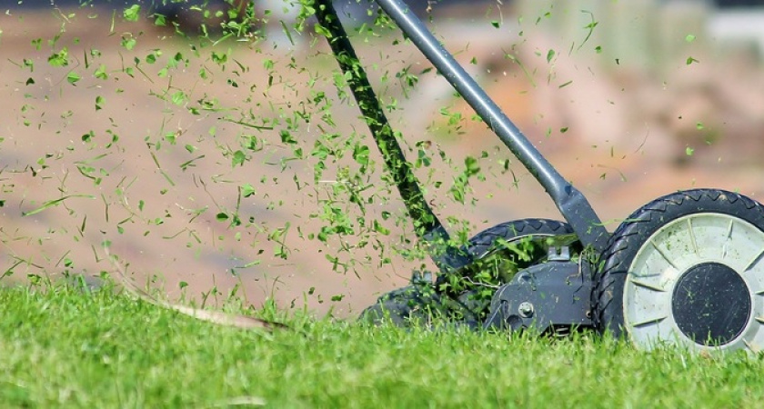 Пощады не будет: за инструменты и садовую технику на даче начнут штрафовать