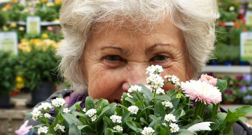 Пенсионеры опешили от нового закона: сюрприз старикам подготовили с июня