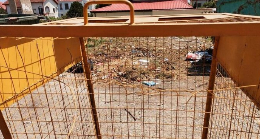 В Новороссийске массово уничтожают желтые контейнеры для сбора пластика