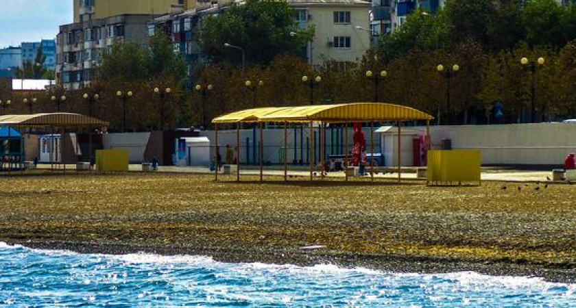 На "зимних" пляжах Новороссийска туалеты работают, когда решит арендатор: куда ходить горожанам?