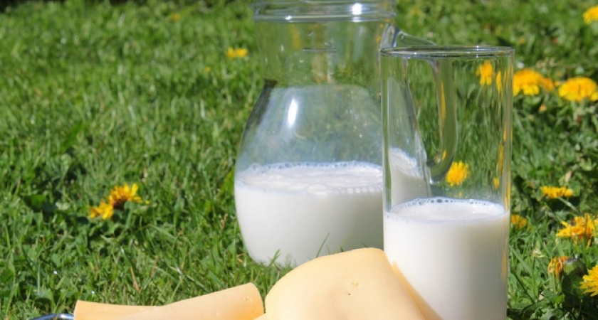 Пальмовое масло в молоке: Роскачество рассказало, какую молочку не стоит покупать