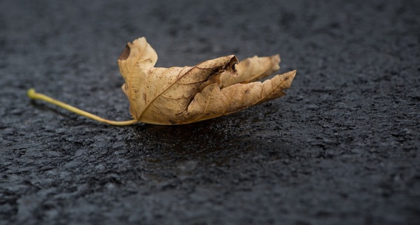 "Лето подложит нам всем свинью": ошеломительный прогноз метеорологов