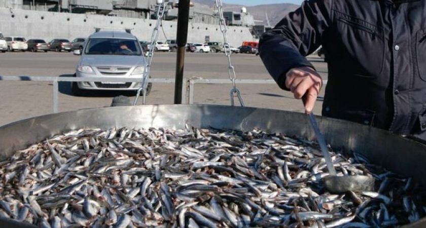 «Все из-за политических обстоятельств и лета»: хамса в этом году придет в Новороссийск намного позже