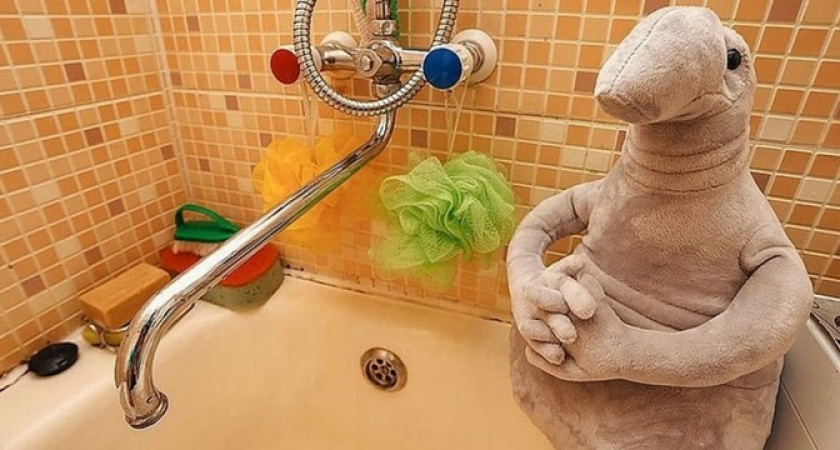 В Новороссийске 260 квартир сутки сидели без света и воды