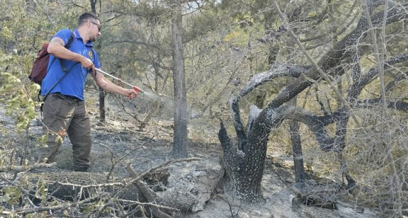 Основной огонь уже потушили под Новороссийском 
