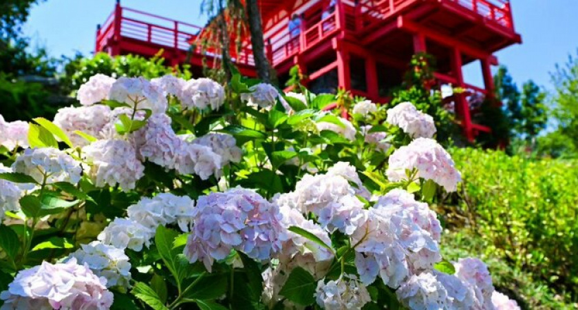 Парк Галицкого в Краснодаре: топ-5 самых красивых и необычных локаций