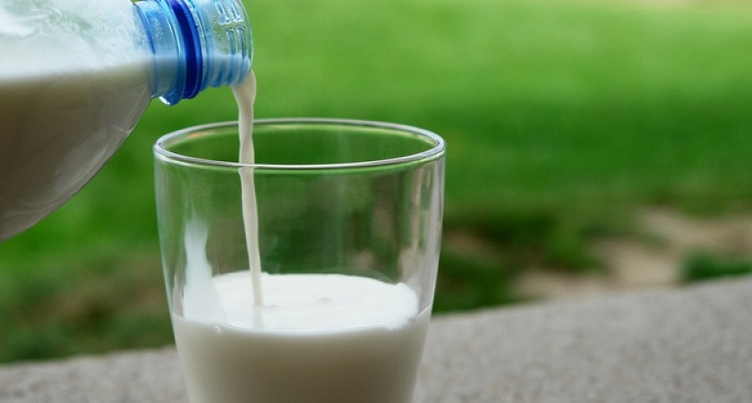 В СССР этот продукт ели только так каждый день, а теперь его запрещают медики