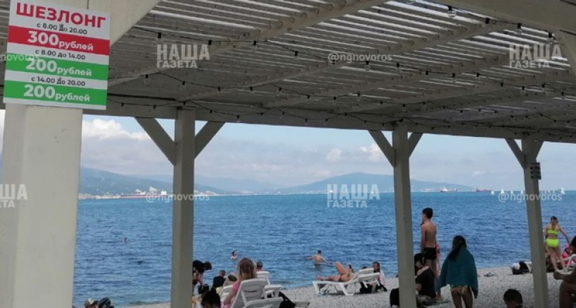 «300 рублей за лежак – совсем совесть потеряли?»: новороссийцы возмущены ценами на шезлонги на «собачьем пляже»