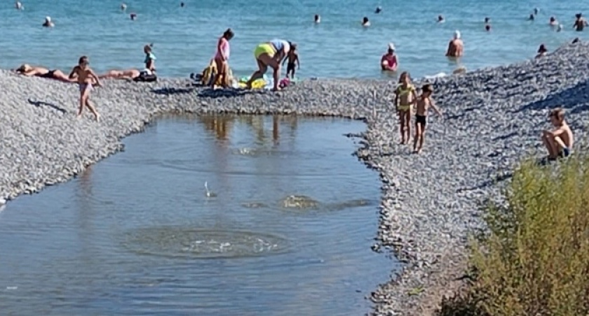 «Что за живодерские игры?»: дети кидают камни в стаи мальков, стоящих в закрытом проране