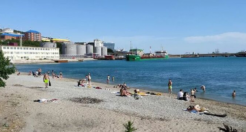 Волочаевский пляж Новороссийска могут отдать "Порт Виктория" по решению Верховного суда РФ