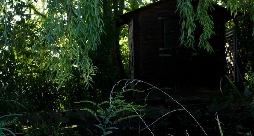 Эти постройки снесут с вашего участка без лишних вопросов: они оказались вне закона