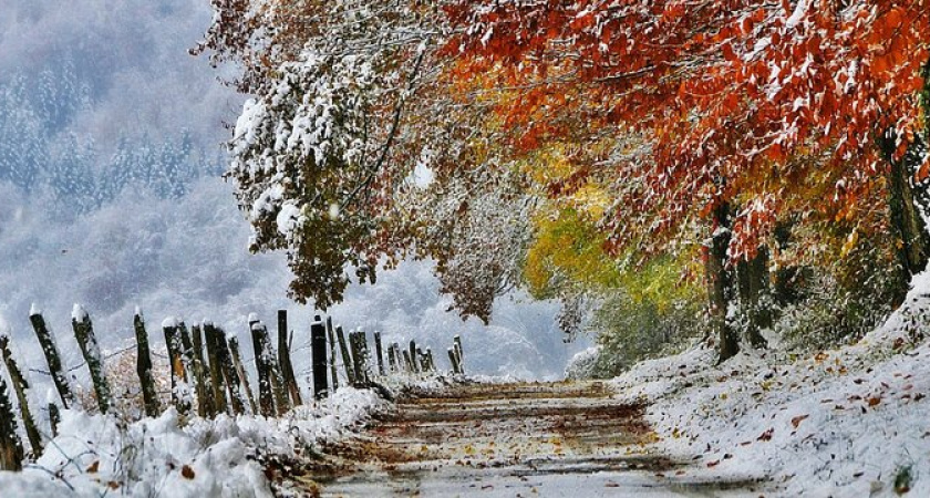 Зима придёт в ноябре: на Кубань обрушатся снегопады 