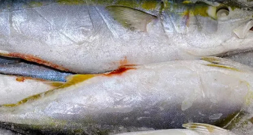 Правда о замороженной рыбе: что нужно знать перед покупкой с прилавков