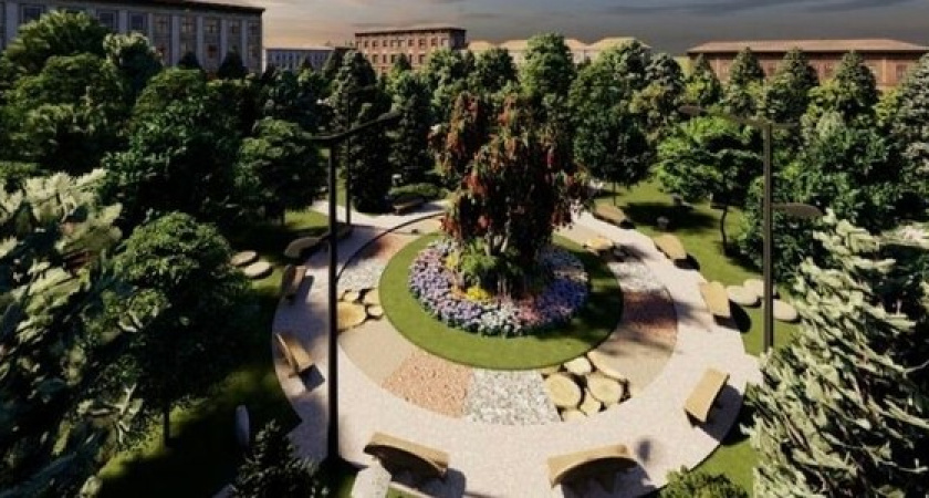 В Новороссийске построят парк по проекту семиклассника, в котором горожане смогут сажать деревья на памятные даты