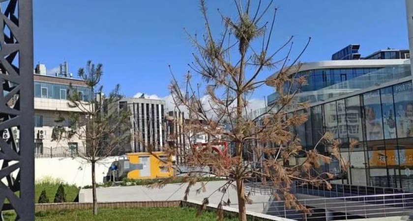 Парк Фрунзе в Новороссийске к сегодняшнему дню умирает 