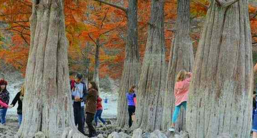Путешествия в соцсетях vs реальность: красивейшие локации Черноморского побережья и что происходит за кадром 