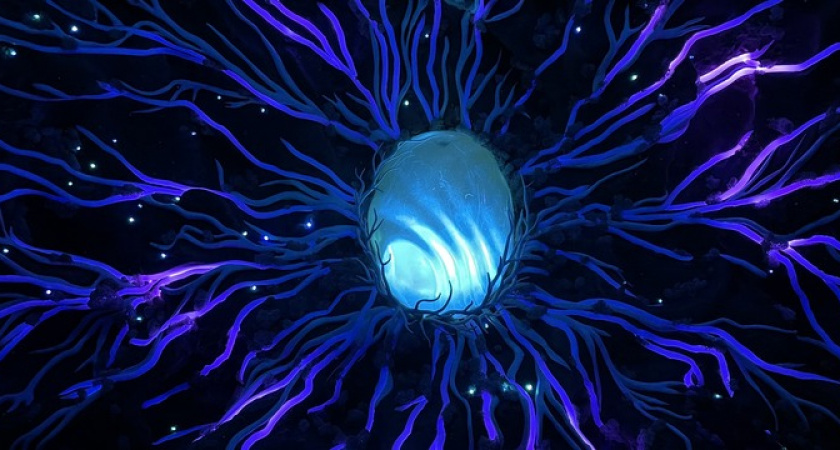 В тоннелях Абрау-Дюрсо бьется Сердце Абрау