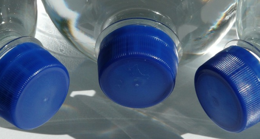 Пластиковые бутылки на вес золота: необычное применение на огороде — соседи ахнут от зависти