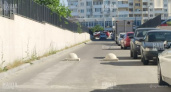 «Короткого» пути в «Ленту» больше нет: жители многоэтажки перегородили проезд полусферами, чтобы машины не летали через их двор