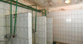 «Плесень, грибок, тараканы и крысы»: сюжет про новороссийскую общагу показали на федеральном канале