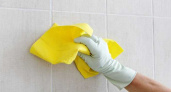 Лайфхак для ленивых: неожиданный способ очистки межплиточных швов в санузле от плесени и грязи