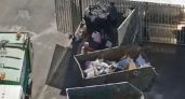В Новороссийске сотрудники «Эко-Юга» вместо того, чтобы вывезти мусор, переложили его в строительные мульды