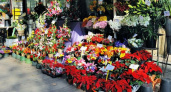 В Новороссийске к Международному женскому дню организуют 17 площадок для торговли цветами