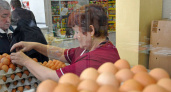 Куриные яйца подешевели? НАША узнала цены на продукт в Новороссийске