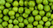 Салат им не испортишь! Роскачество назвало марки зеленого горошка, которые можно брать