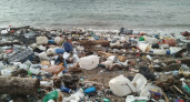 В Новороссийске Волочаевский пляж превратился в свалку 