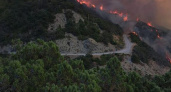 Более 3 гектаров леса горит под Новороссийском в районе заповедника Утриш