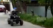 "Чуть не сбили моих родителей!": в Новороссийске двое детей разъезжали по дороге на квадроцикле
