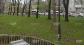 «Такого безобразия не должно быть!»: новороссийцы заметили, что на центральной аллее из фонарных столбов торчат провода