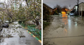 Сломанные деревья и подтопленные улицы: фотоподборка последствий стихии в Новороссийске