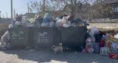 Мусорный коллапс: новороссийцы продолжают жаловаться на стихийные свалки и переполненные контейнеры