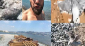 Новороссиец снял массовый мор чаек на острове Суджук