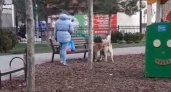 "Когда люди начнут думать о своих животных?!": собаки сцепились посреди детской площадки в Новороссийске