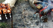 Новороссийцы жгут костры и жарят шашлыки в Пионерской роще – особо охраняемой природной территории