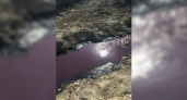 «Страшное зрелище»: новороссийцы обсуждают видео, на котором запечатлено, как вода в реке окрасилась в сиреневый цвет