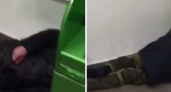 На чиле, на расслабоне: в Новороссийске бомжи спят посреди банкоматов