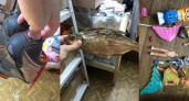 Пустые бутылки, сушеная рыба и садомазо костюмы: какие необычные вещи жители Новороссийска отдают на благотворительность