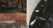Новороссийцы показали удручающее состояние фонтана в парке Фрунзе