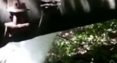 В водоканале Новороссийска прокомментировали видео о прорыве водопровода в лесу